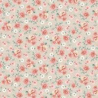 ttFLEUR-CD4044 STRAW